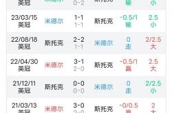 雷速体育比分官网-斯托克城客场不敌，保级形势越发恶化的简单介绍
