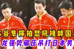 雷速体育网页版-包含波兰乒乓球队爆冷日本乒乓球队，水谷隼爆发神勇的词条
