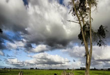 雷速体育比分官网-中国羽毛球队血洗马来西亚，林丹实现历史性帽子戏法