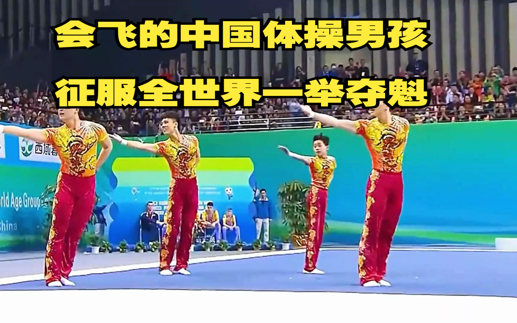 关于集体操冠军耀眼：亚洲选手飘舞夺魁的信息