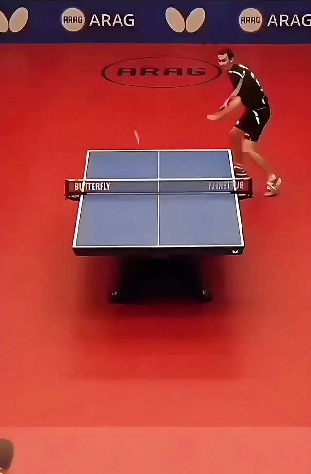 包含波兰乒乓球队力克德国乒乓球队，许昕送出助攻的词条