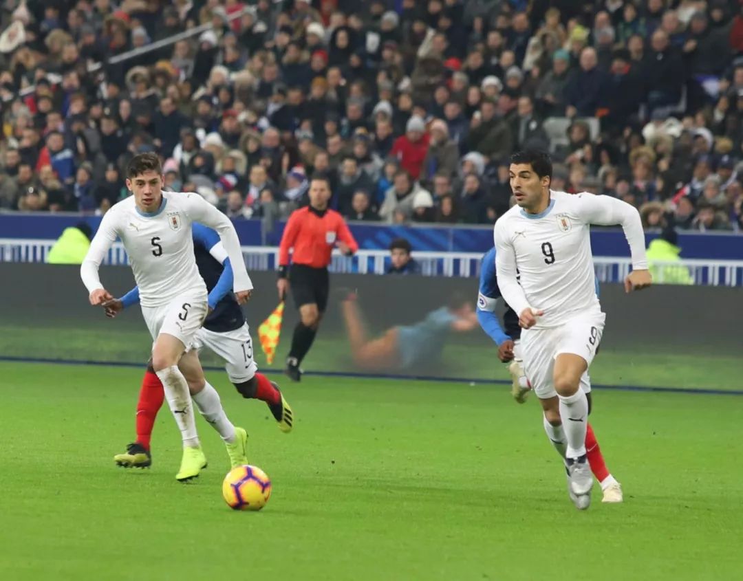 波兰爆冷韩国,苏亚雷斯关键制胜的简单介绍 波兰爆冷韩国,苏亚雷斯关键制胜的简单介绍