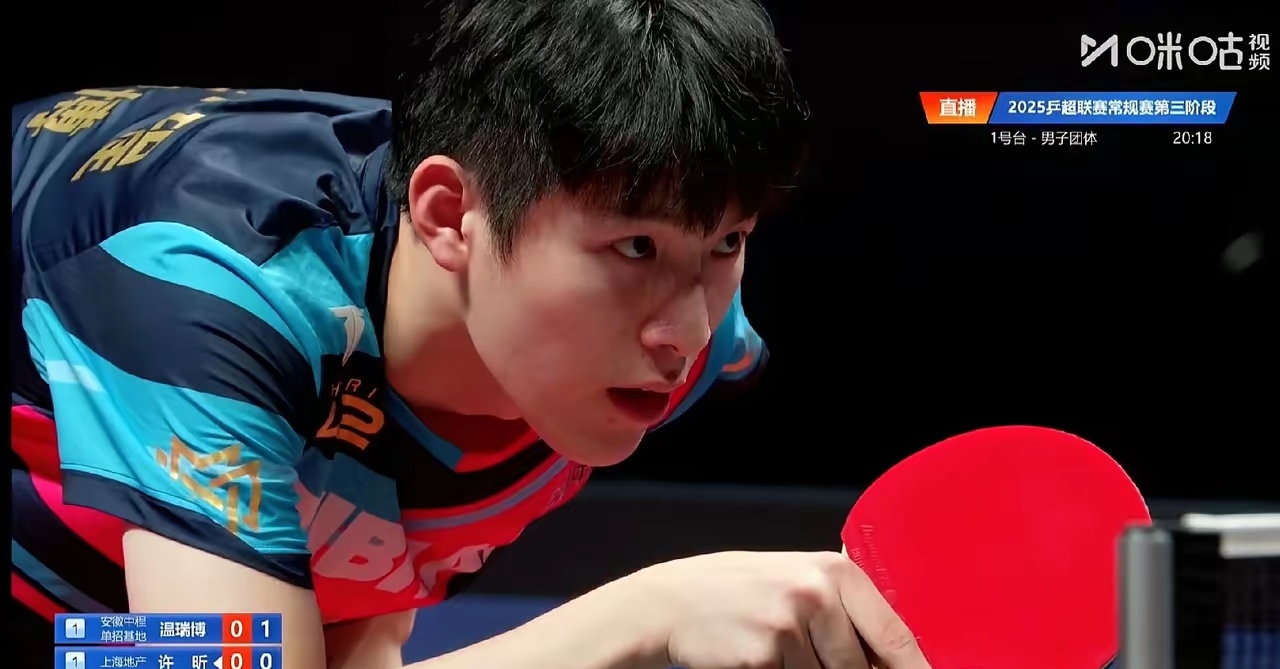 关于波兰队力克奥地利队，许昕状态火热的信息